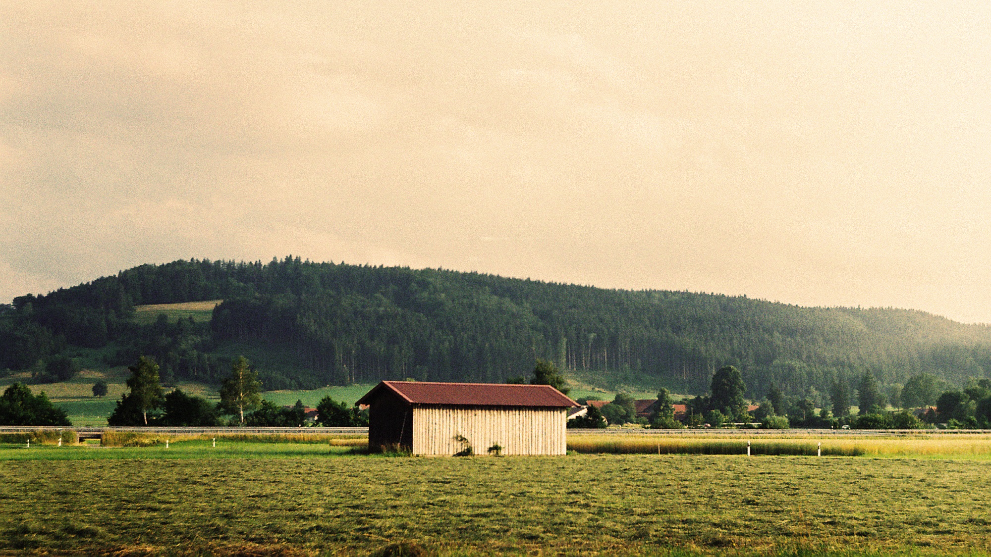 Documentary photo